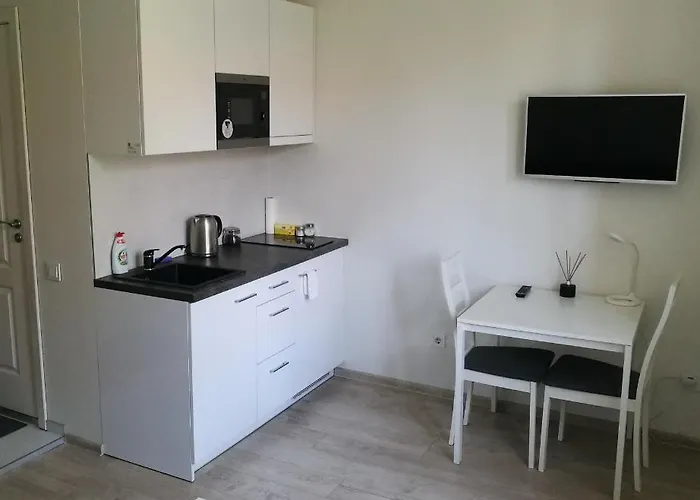 Vilnius Town Apartmen